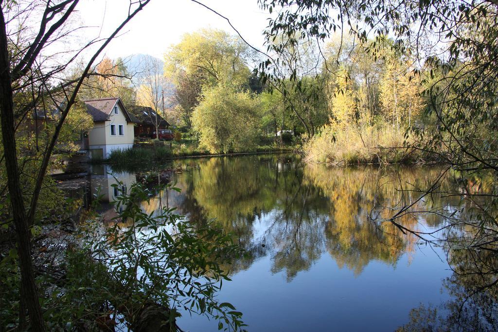 Hotel Steinschalerhof Warth  Esterno foto