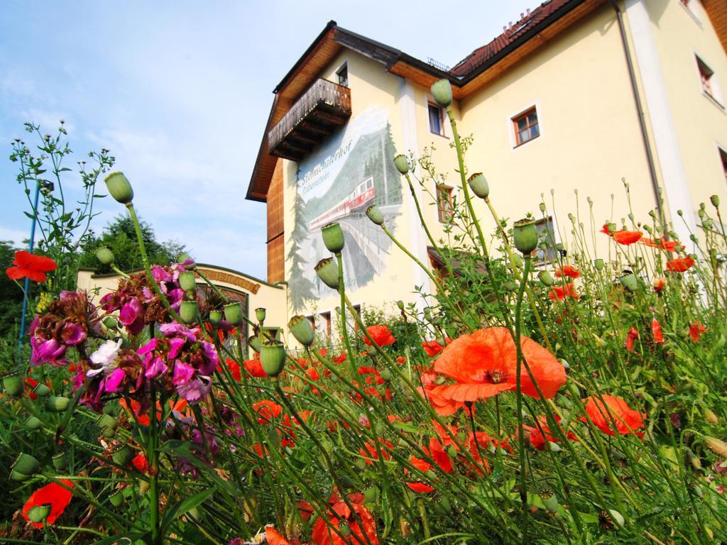 Hotel Steinschalerhof Warth  Esterno foto